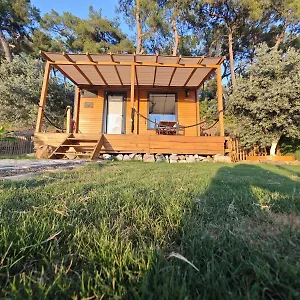 tiny-mini-house.aegeanhotels.net/